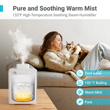 Load image into Gallery viewer, 3L Warm Mist Stainless Steel Humidifier